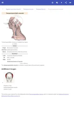 Muscular system android App screenshot 0