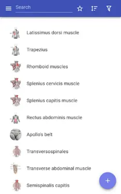 Muscular system android App screenshot 9