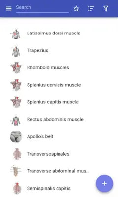 Muscular system android App screenshot 13