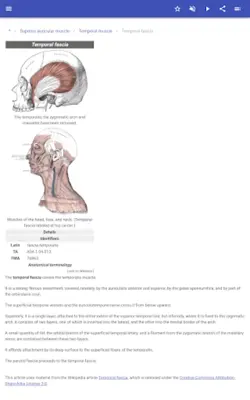 Muscular system android App screenshot 1