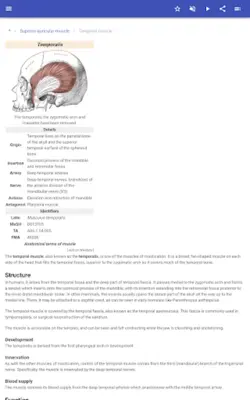 Muscular system android App screenshot 2